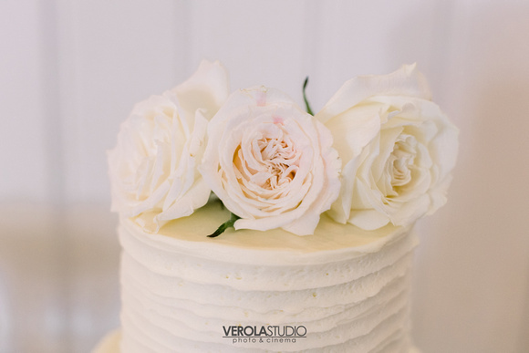 Verola Studio_Quail Valley Wedding-196